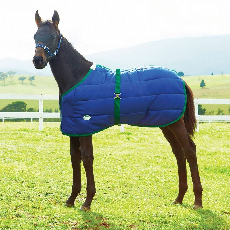 Weatherbeeta Newborn Foal Blanket
