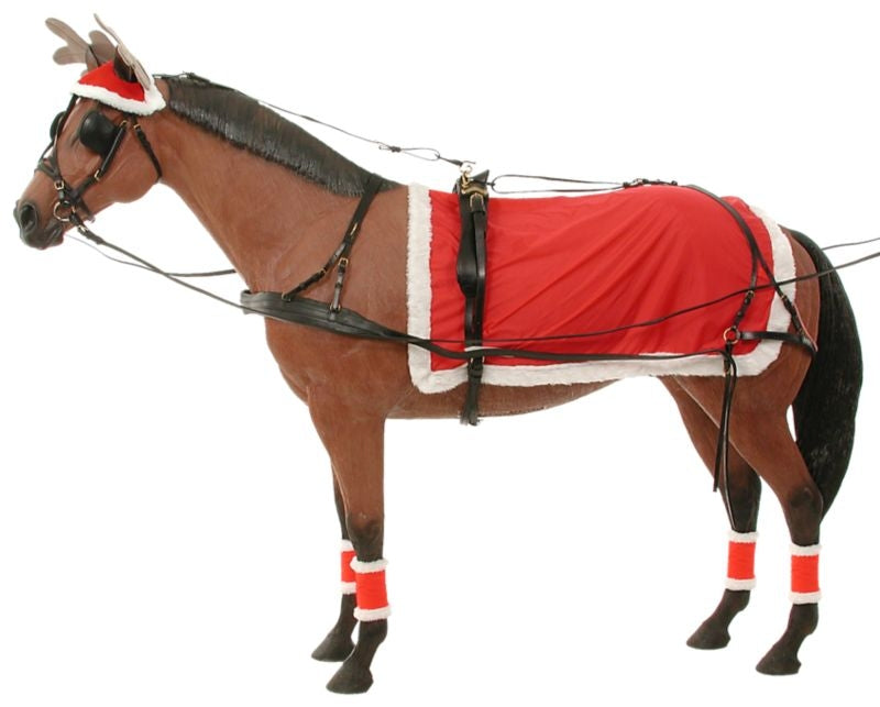 Complete Christmas Driving Set