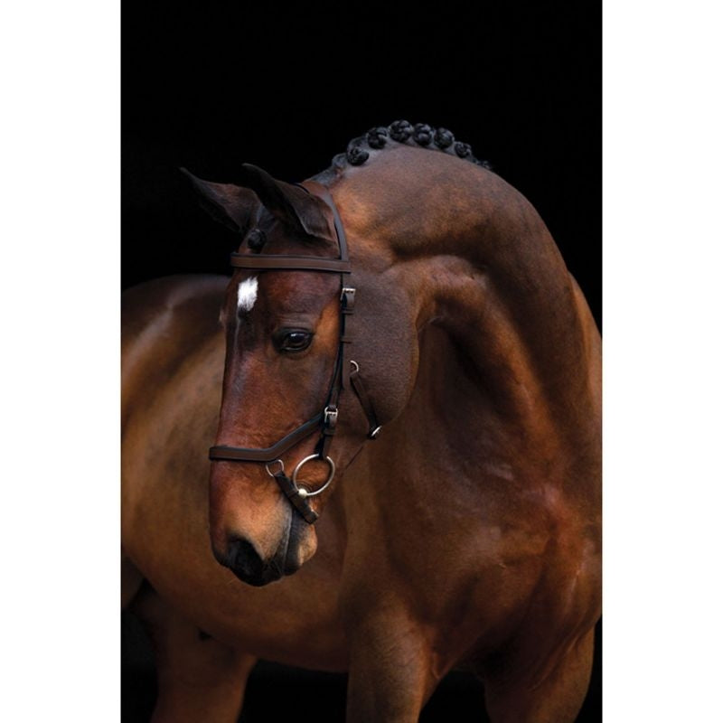 Rambo Micklem Competition Bridle