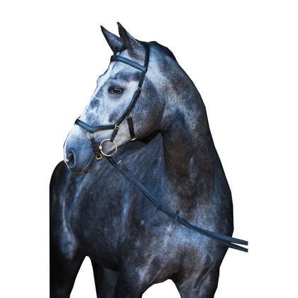 Rambo Micklem Multibridle