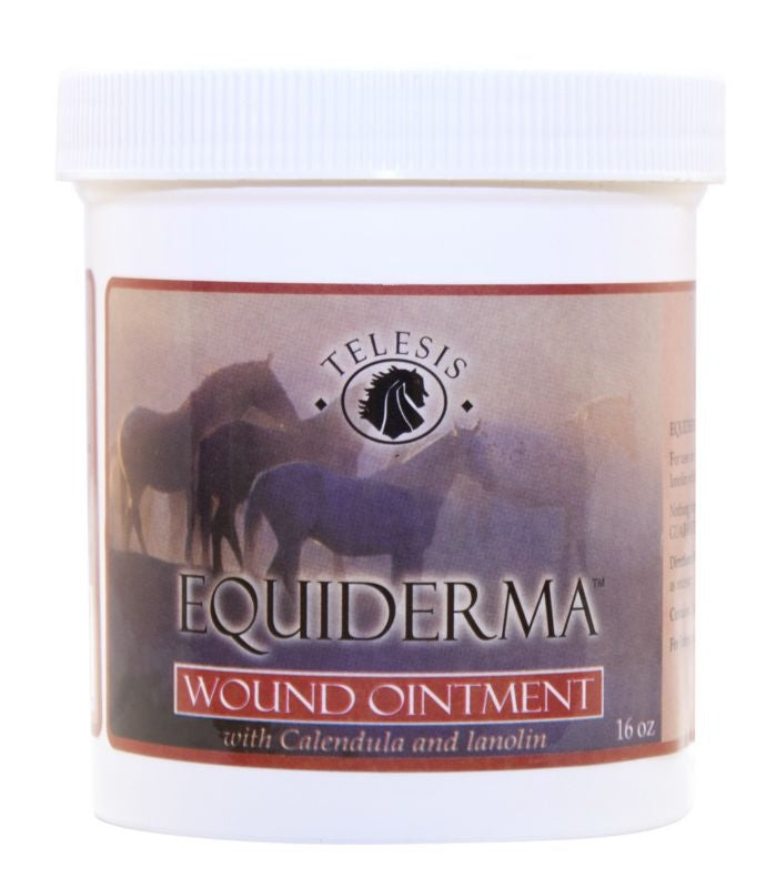 Equiderma Wound Ointment