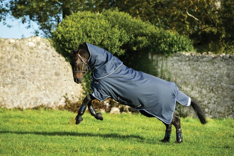 Amigo Bravo 12 Plus 400g Pony
