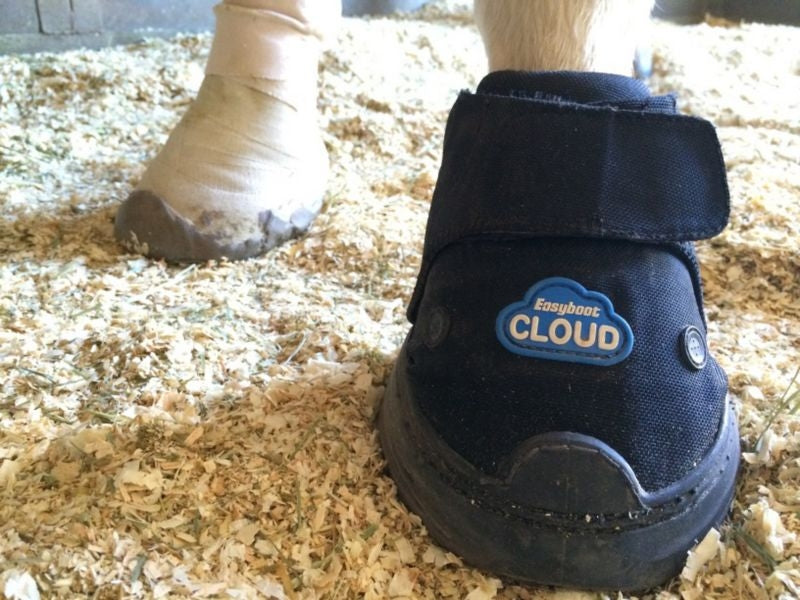 EasyCare Easyboot Cloud Hoof Boot