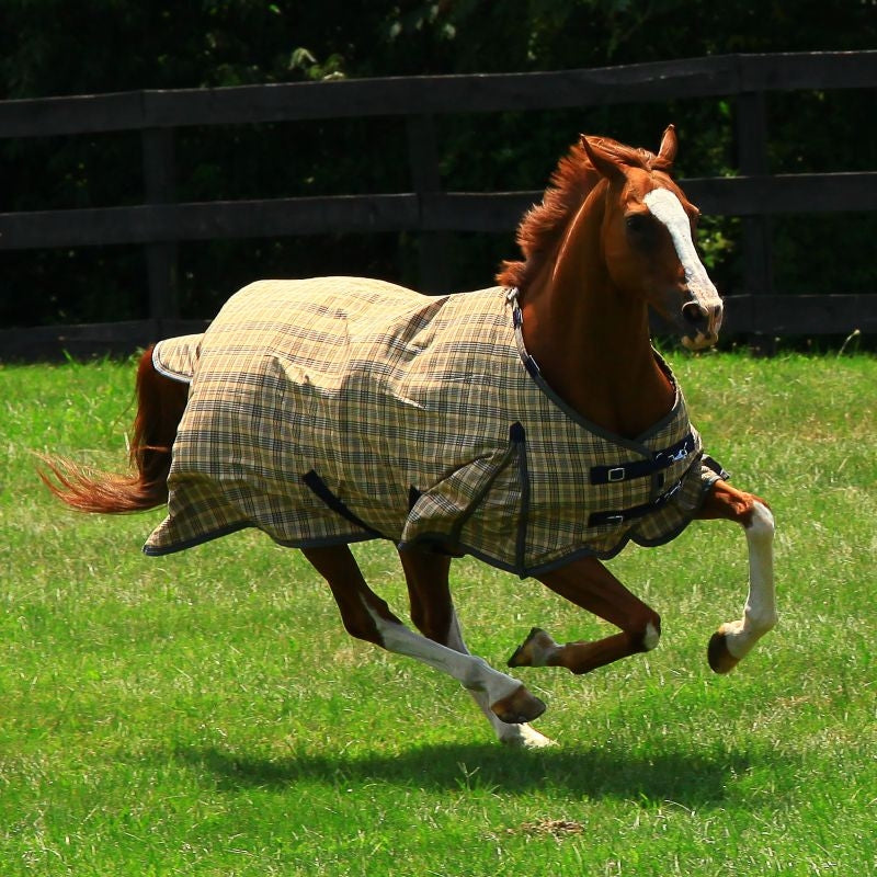 Baker HW Turnout Blanket 400 Gram
