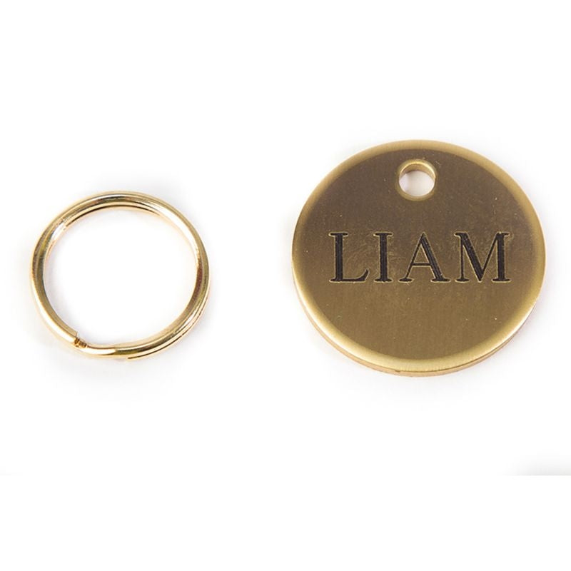Personalized Round Halter/Bridle/Pet Tag