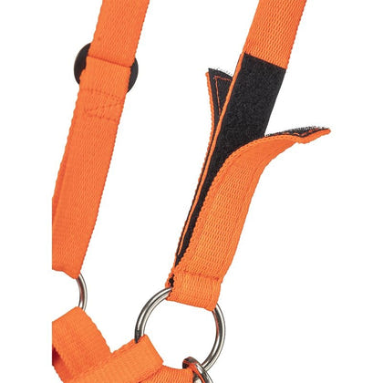 Tough1 Easy Breathe V Grazing Muzzle