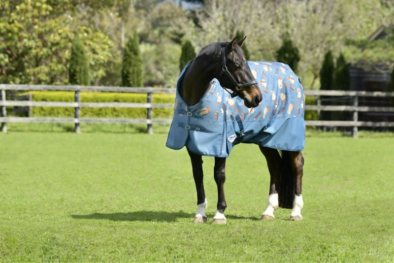 Weatherbeeta ComFiTec Essential Standard Neck Medium Turnout Blanket