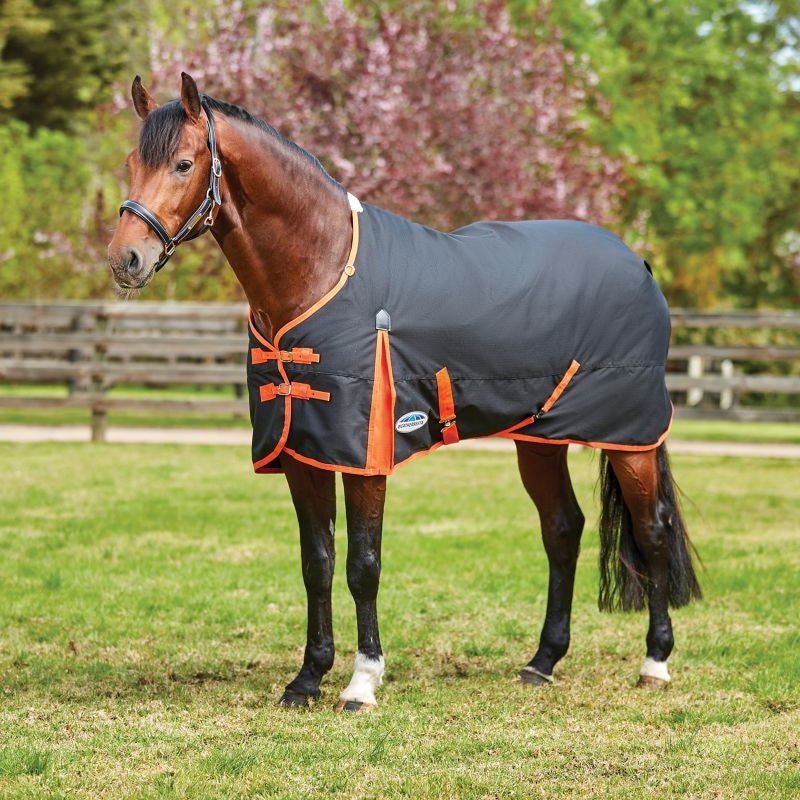 Weatherbeeta ComFiTec Essential Standard Neck Medium Turnout Blanket