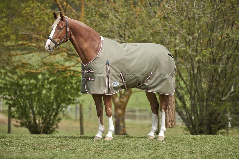 Weatherbeeta ComFiTec Essential Standard Neck Medium Turnout Blanket