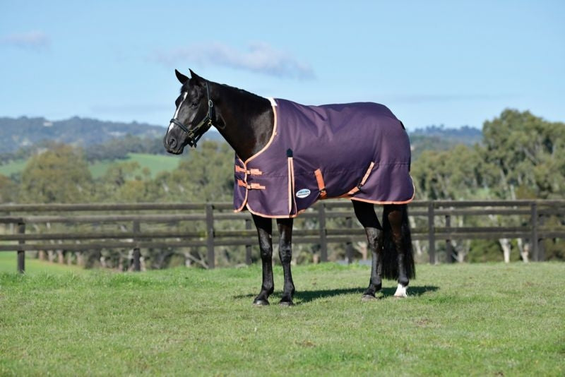 Weatherbeeta ComFiTec Essential Standard Neck Medium Turnout Blanket