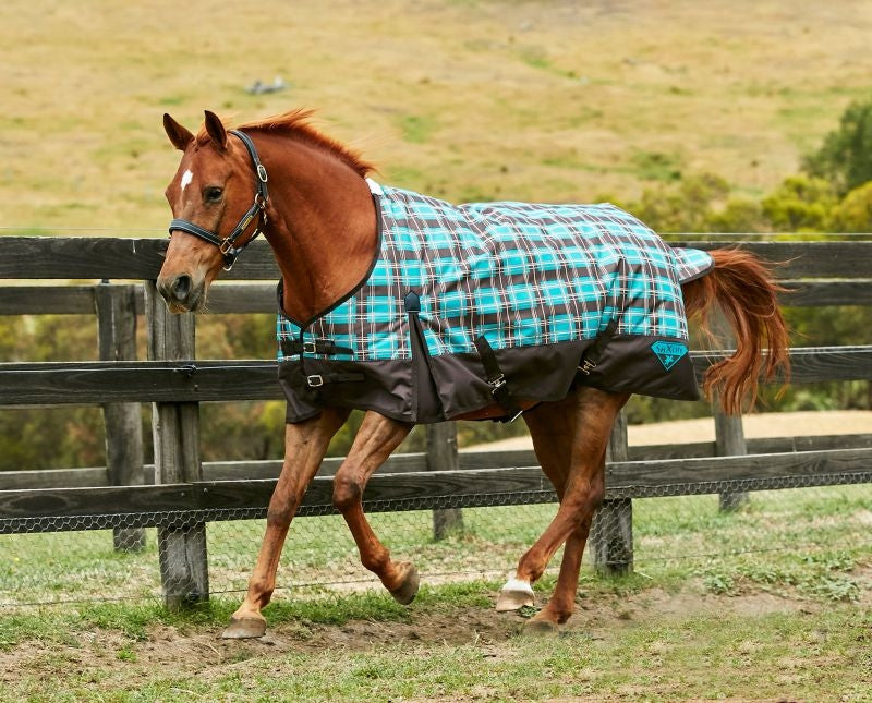 Saxon 1200D Standard Med Blanket