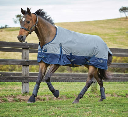 Saxon 600D Standard Medium Blanket