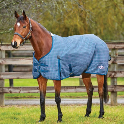Saxon 600D Standard Medium Blanket