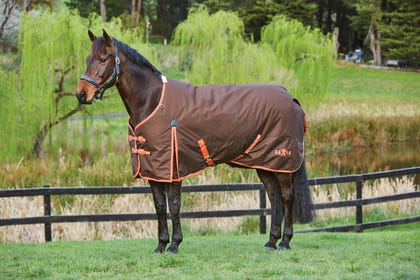 Saxon 600D Standard Medium Blanket
