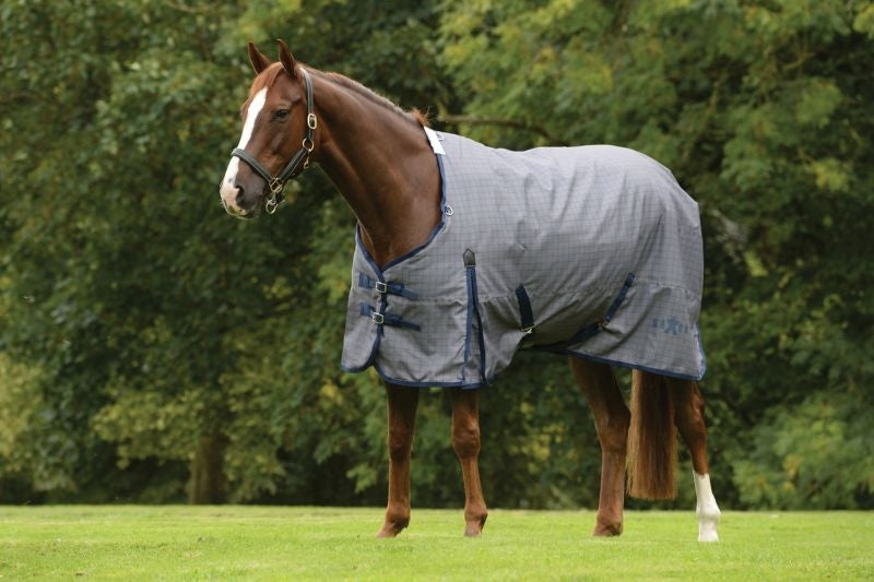 Saxon 600D Standard Medium Blanket