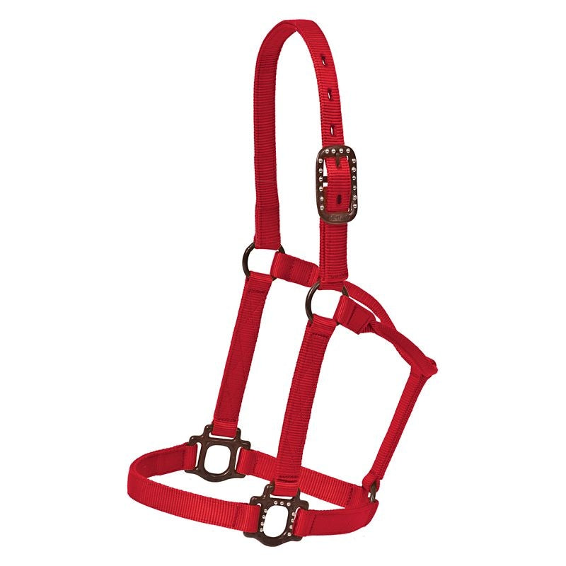 Mustang Antique Dot Halter