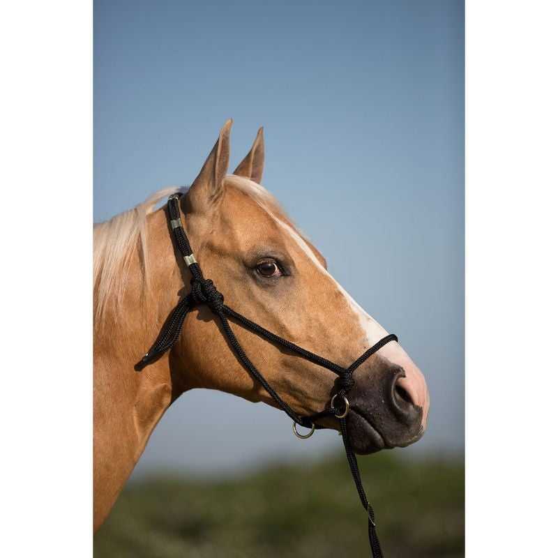 Mustang Be Good Control Poly Rope Halter