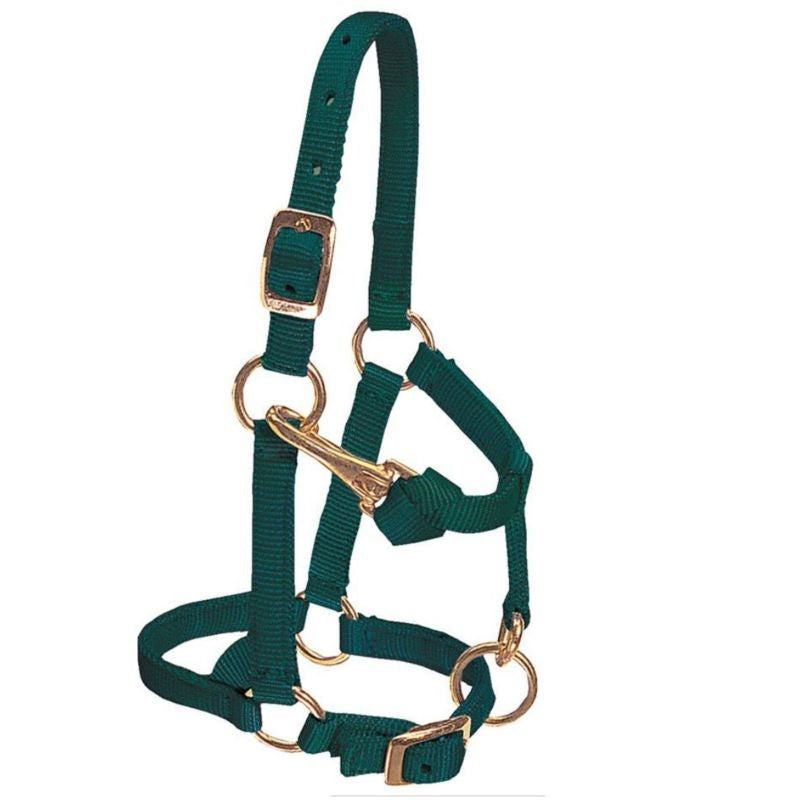 Weaver Mini Adj Nylon Halter Brass