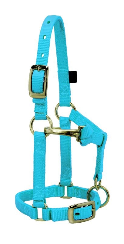 Weaver Mini Adj Nylon Halter Brass