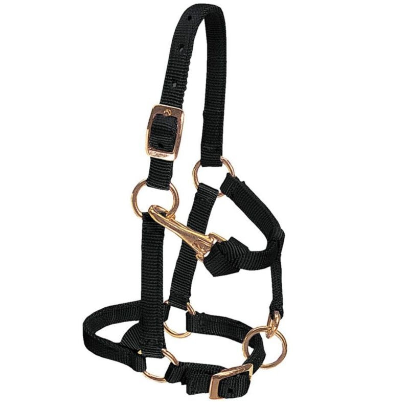 Weaver Mini Adj Nylon Halter Brass