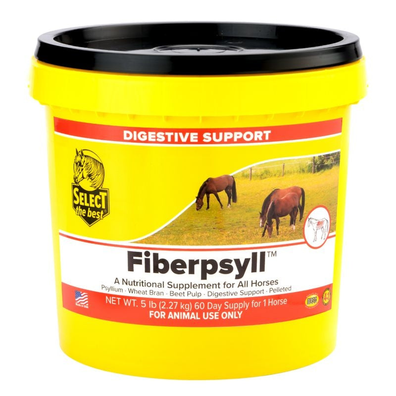 Select the Best Fiberpsyll