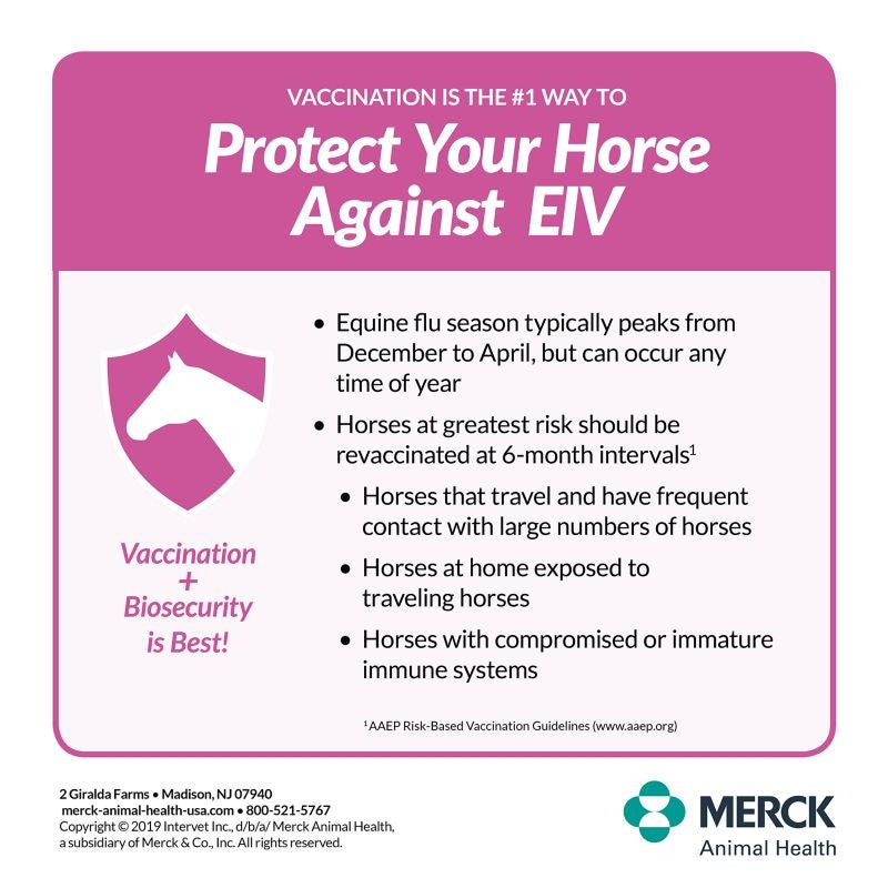 Merck Prestige 4 Vaccine Multi Pack 5 Dose