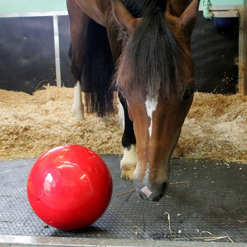 Likit Snak-A-Ball