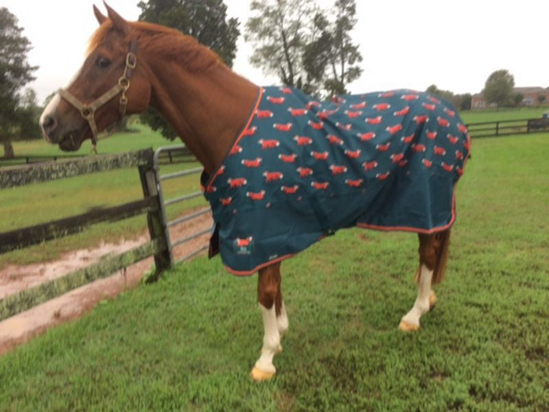 Shires Tempest Original Lite Fox Print Sheet