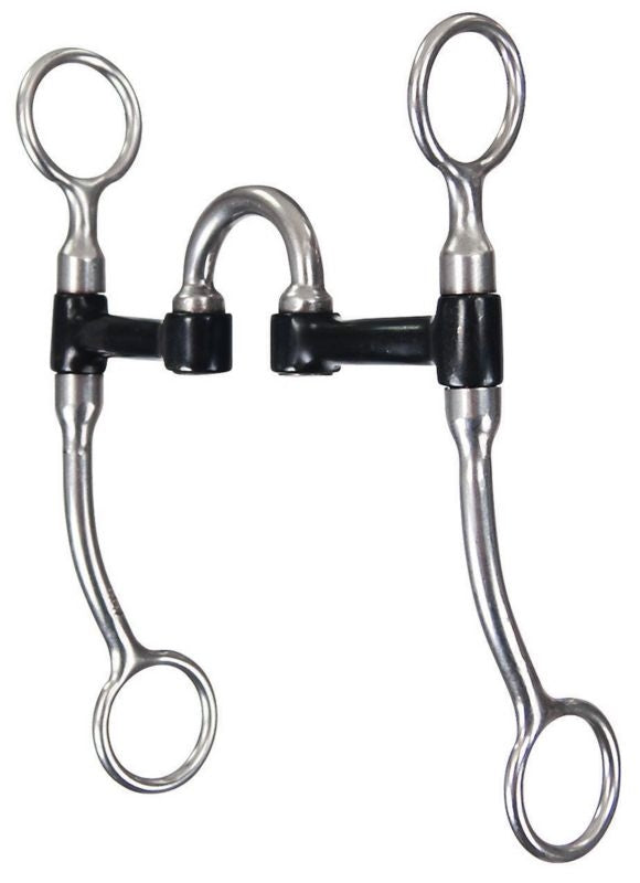 Reinsman 5/16in Sweet Iron Correction Bit