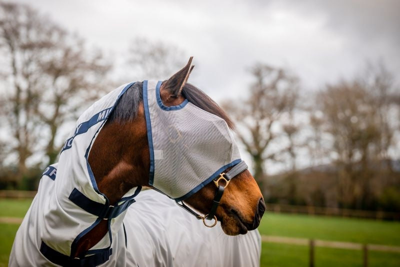 Mio Fly Mask 5 Pack