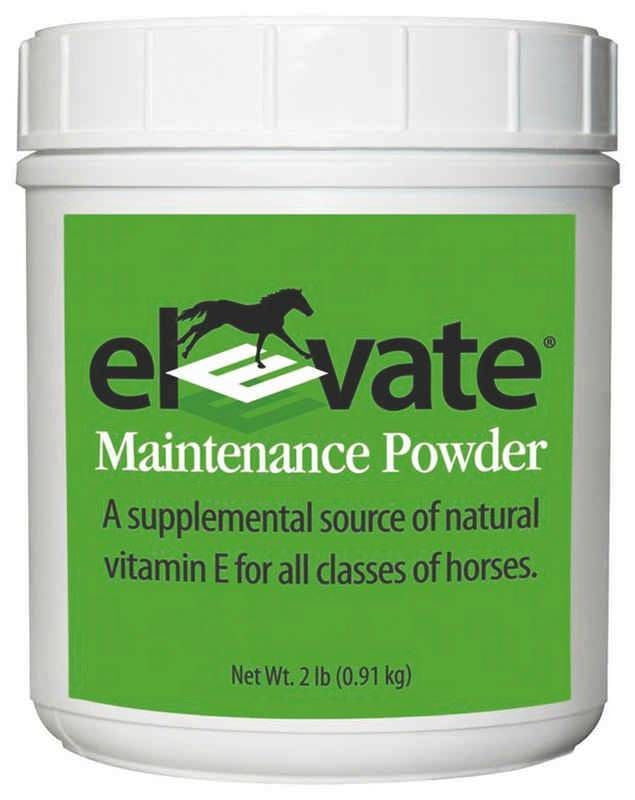 Elevate Maintenance Powder 2lb