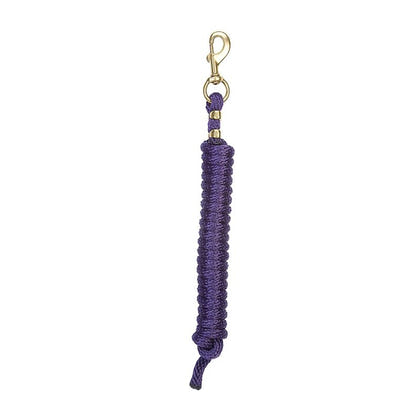 Weaver Poly Lead Rope with Brass Snap 10Ft