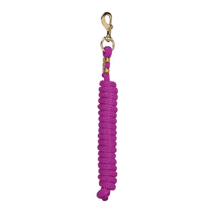 Weaver Poly Lead Rope with Brass Snap 10Ft