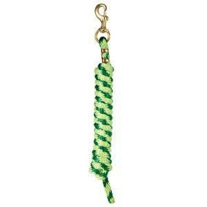 Weaver Poly Lead Rope with Brass Snap 10Ft