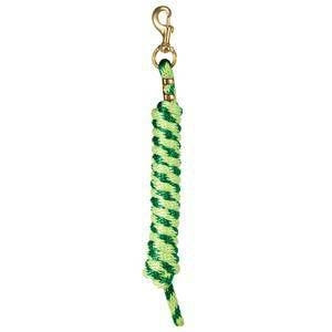 Weaver Poly Lead Rope with Brass Snap 10Ft
