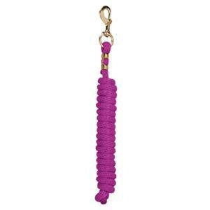 Weaver Poly Lead Rope with Brass Snap 10Ft