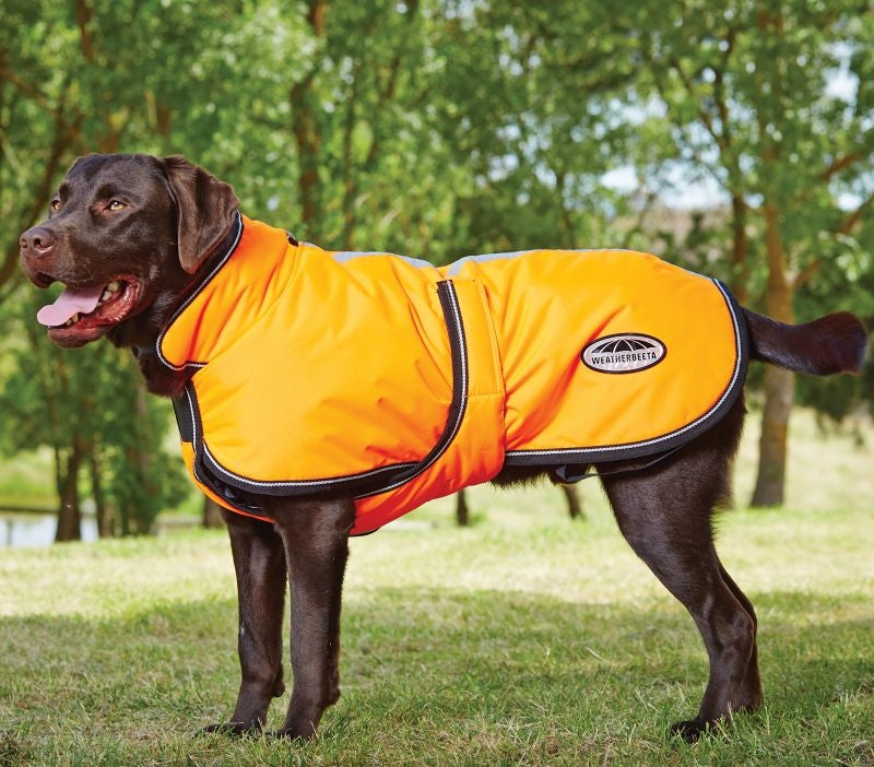 WeatherBeeta Reflect Dog Parka 300D Deluxe