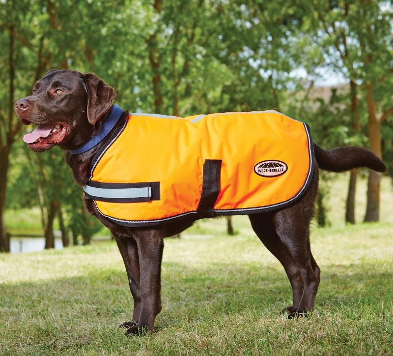 WeatherBeeta Reflective Dog Parka 300D