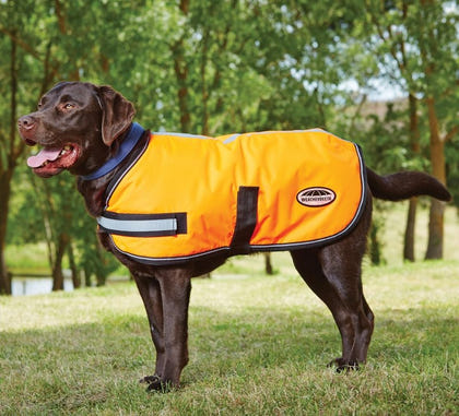 WeatherBeeta Reflective Dog Parka 300D