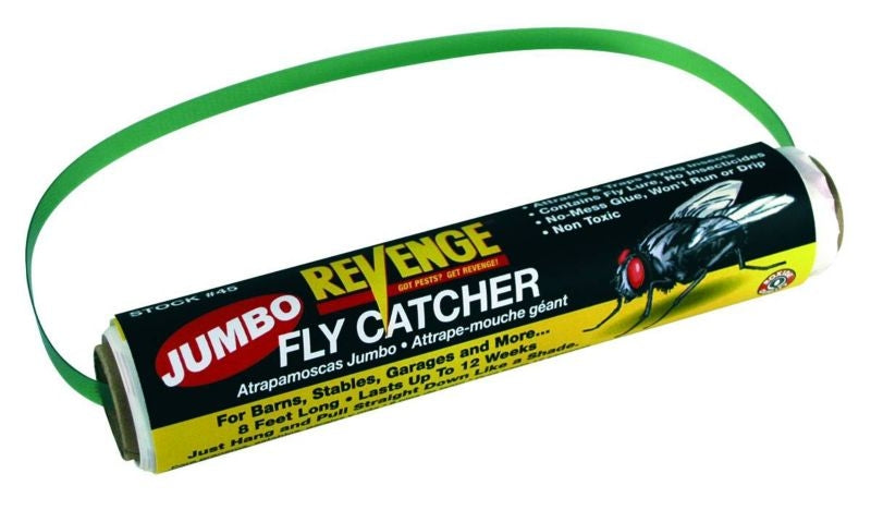 Jumbo Fly Catcher