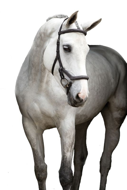Micklem Deluxe Competition Bridle
