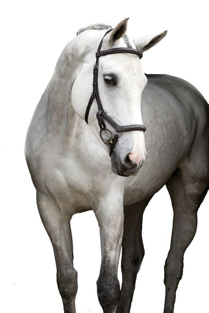 Micklem Deluxe Competition Bridle