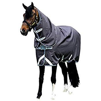 Amigo Bravo 12 Plus Turnout Medium