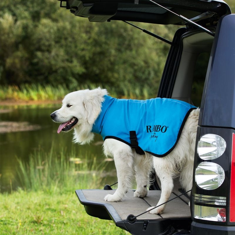 Rambo Dog Dry Rug Blue/Black