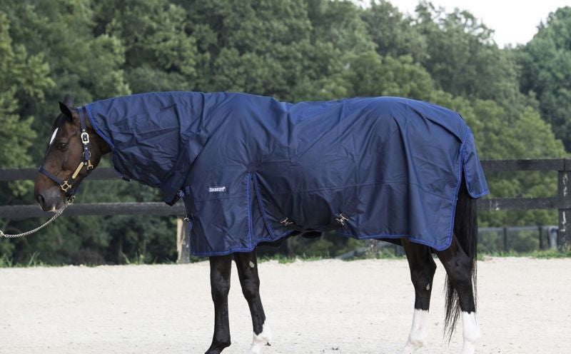 Loveson Turnout 0g All-in-One