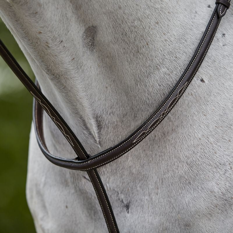 Collegiate Fancy Standing Martingale
