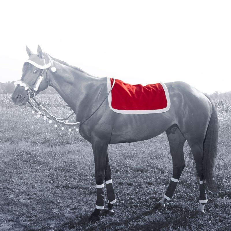 Holiday Santa English Pad Cover