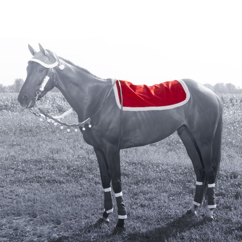 Holiday Santa Western Pad Cover