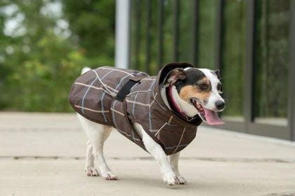 FITS Dog Coats