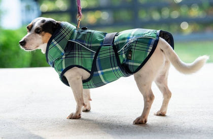 FITS Dog Coats